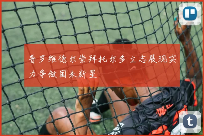 普罗维德尔崇拜托尔多立志展现实力争做国米新星